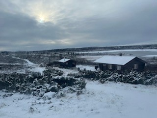 Program November 2025